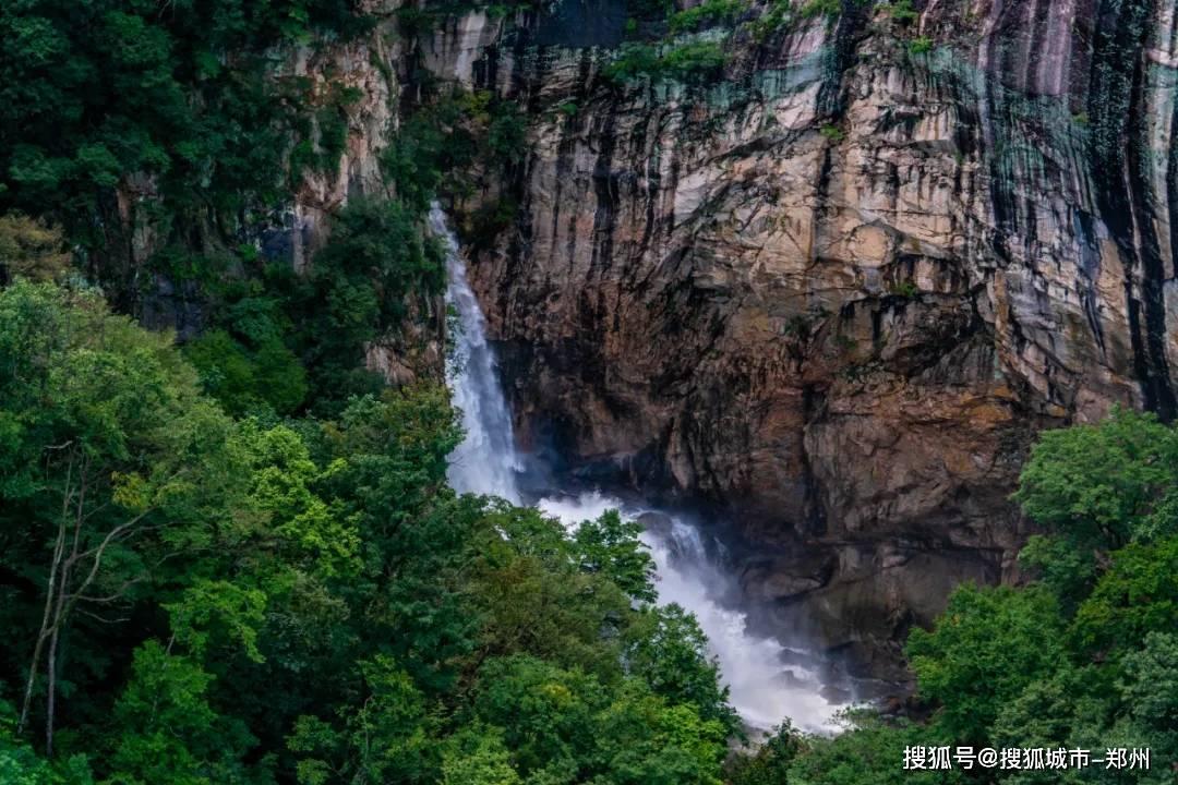 倾听·宁夏两会丨利通区委副书记、区长宋喜代表谈乡村振兴